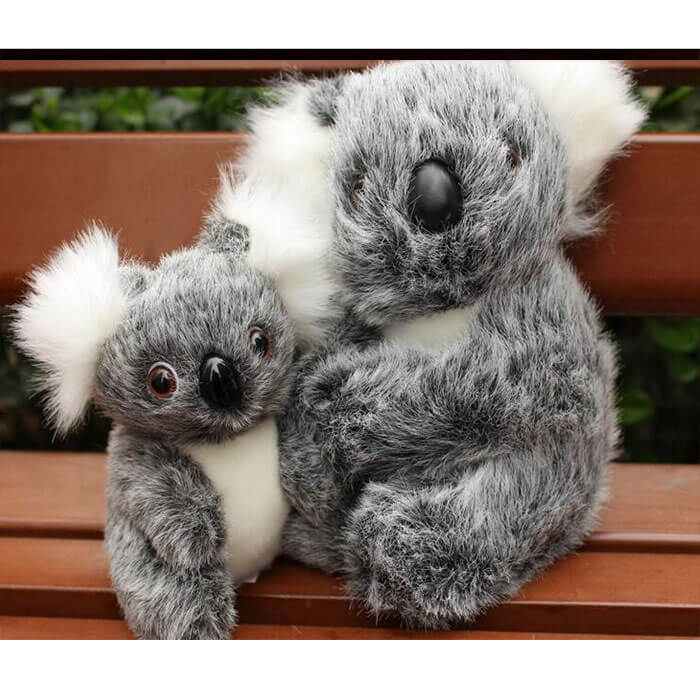 Koala Bear Plush Toys