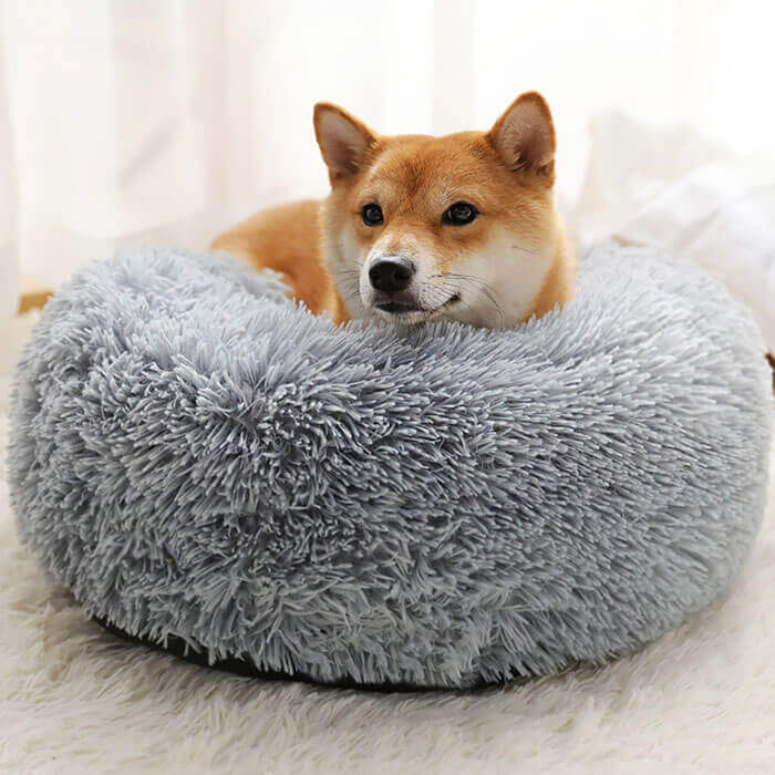 Soothing Pet Bed
